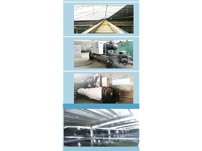 [案例展示]螺桿式熱泵機(jī)組海水養(yǎng)殖項目